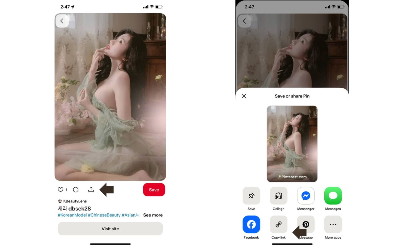Copy the link of any Pinterest video or image you want.
