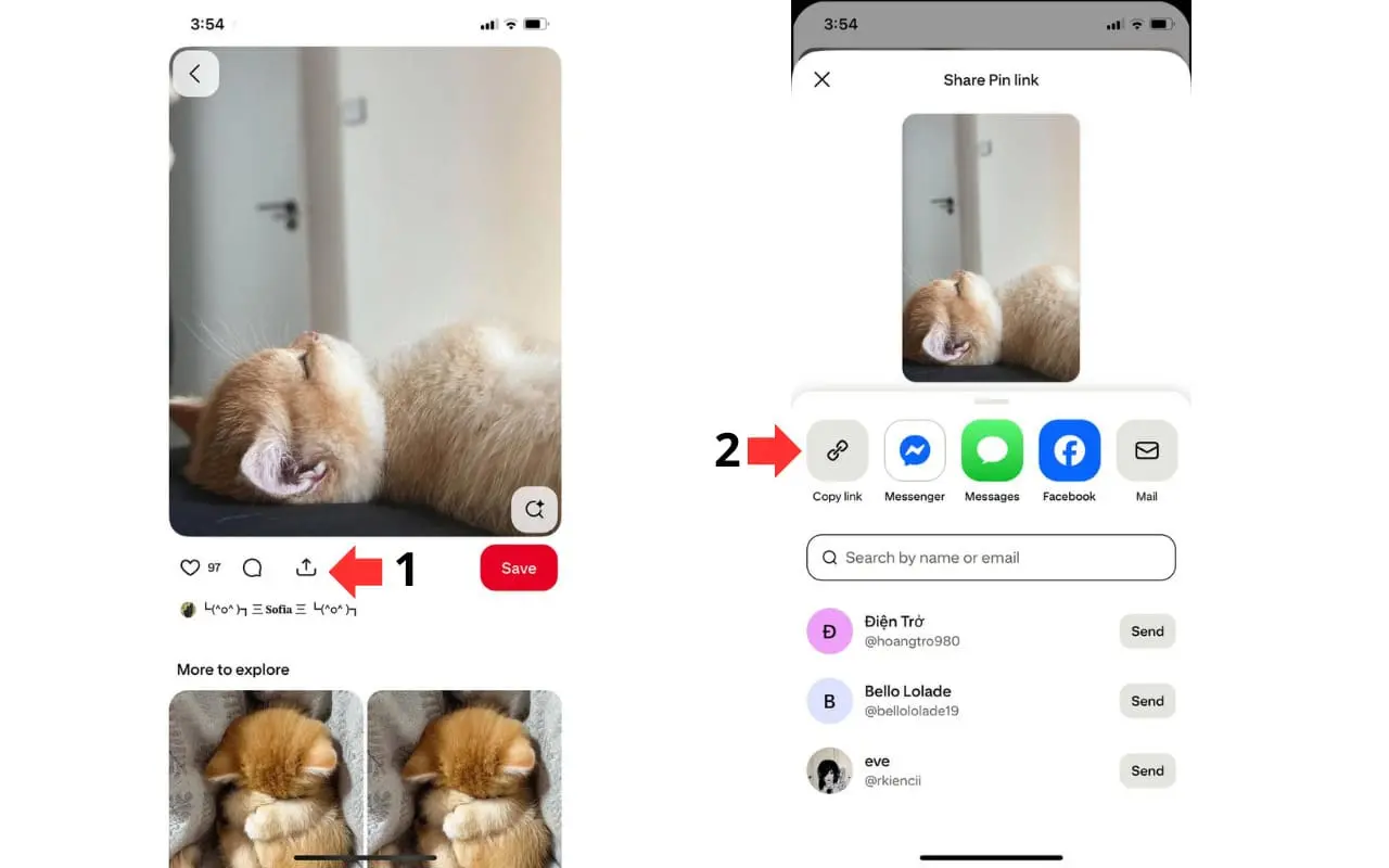 Copy Pinterest link